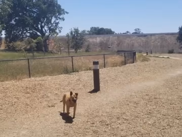 Oak Hill Dog Park photo 1